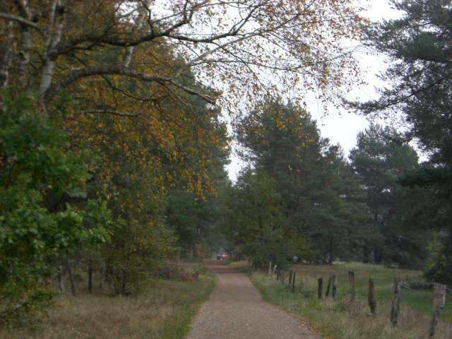 CTF Celle Strecke 071
